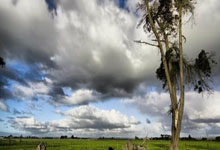 jbo竞博.体育:利雅得青年有意聘請特裏執教 名記:雙方已展開談判.