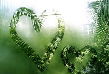 「原创」为学生心理健康开一剂体育良方.