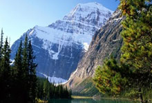 WTT乒乓總決賽|王楚欽擊敗瑞典強敵入4強 回應球迷「復仇論」.