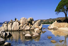 jbo竞博.体育官方网站:2022東亞杯直播.